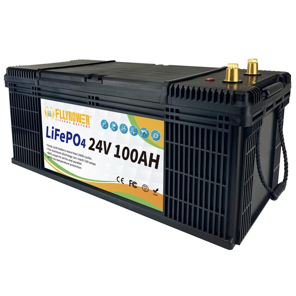 Bán chạy nhất 12V 60 80 100 120 200Ah 24V 100Ah Pin năng lượng phốt phát sắt LiFePO4 có BMS dành cho người cắm trại RV Xe Golf địa hình Màu sắc: 24v 100Ah 525mm