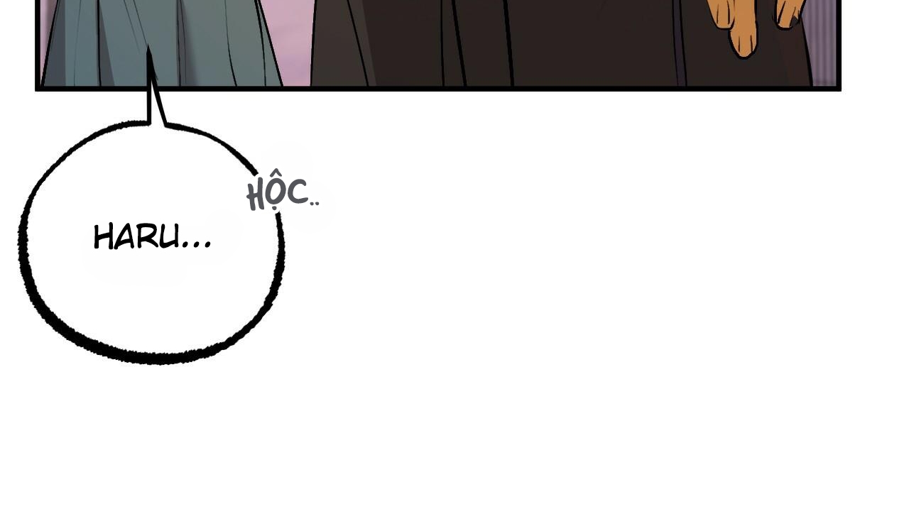 đàn thỏ của habibi chapter 50 283