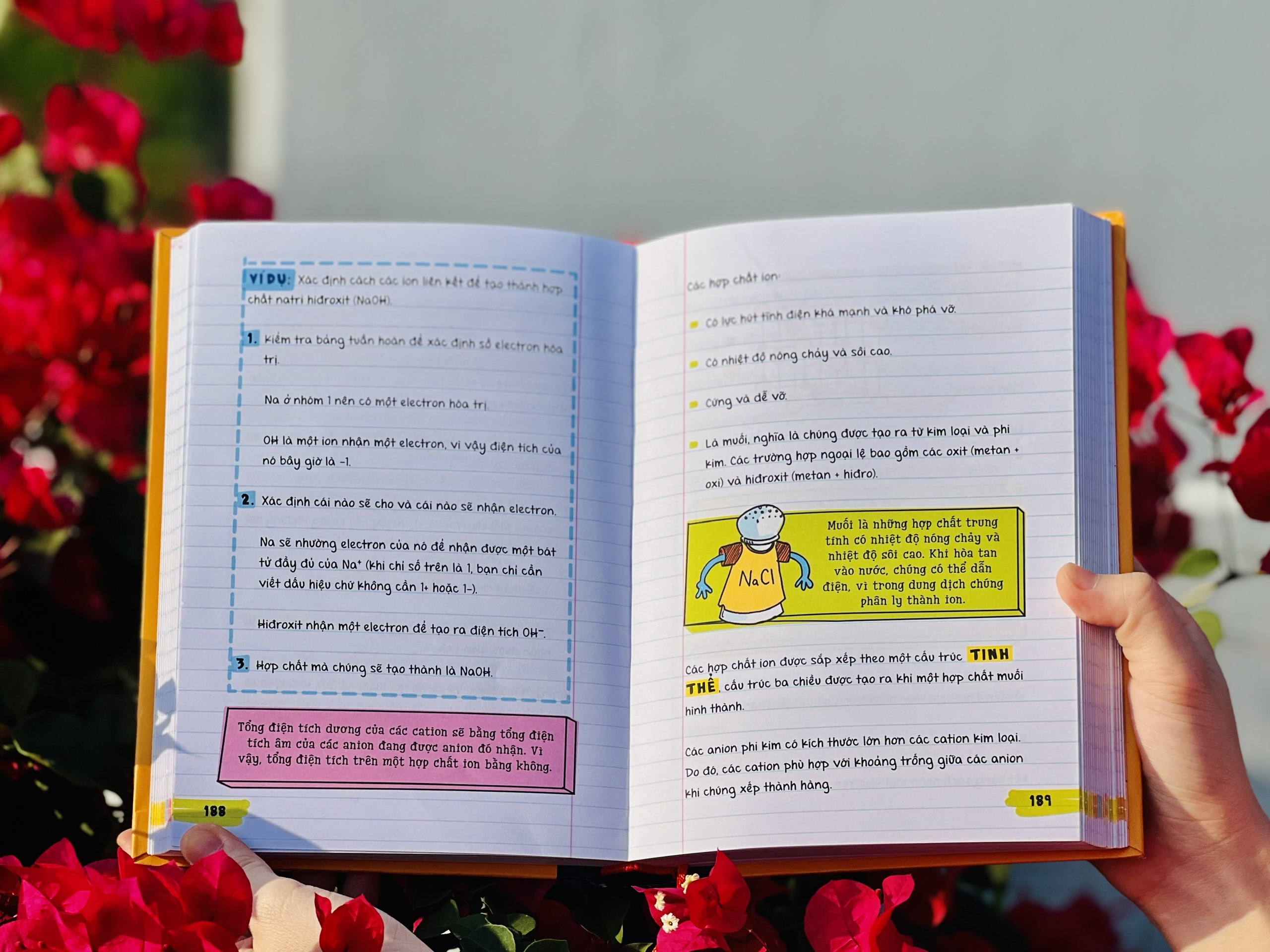 Combo Sách Sổ Tay Khoa Học, Sổ Tay Hóa Học - Kiến Thức Tổng Hợp Hóa Học và Khoa Học - Á Châu Books