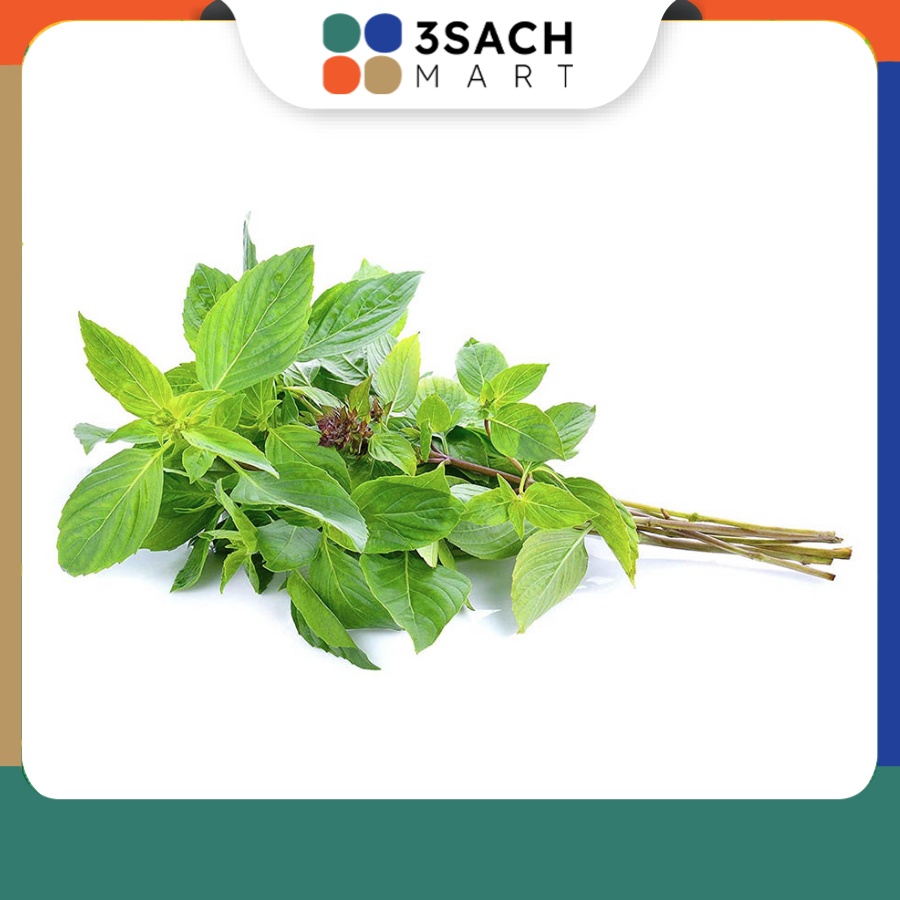 Húng Quế Gói 100Gr