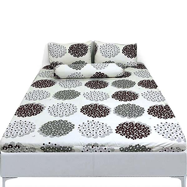 Bộ Drap Cotton THẮNG LỢI - 4 món