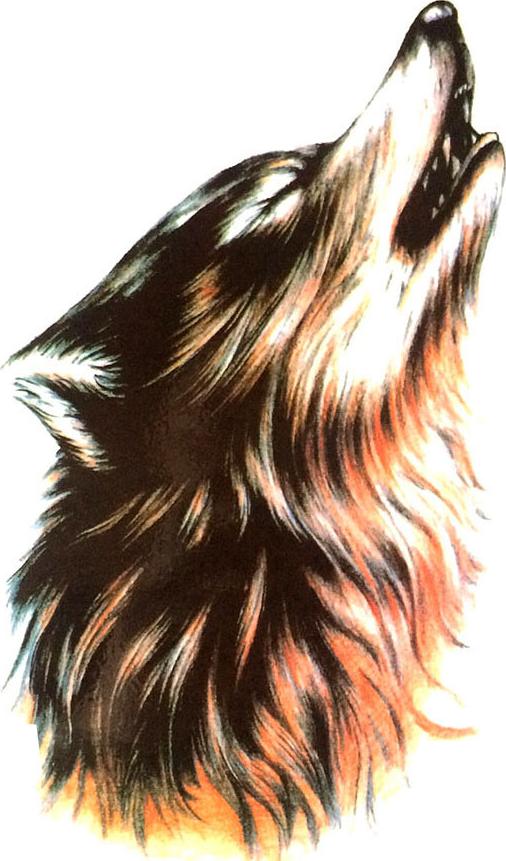 Hình xăm dán chó sói QSA223: Hình xăm dán chó sói QSA223 là một trong những lựa chọn phổ biến nhất của giới trẻ hiện nay vì nó thể hiện sức mạnh và phóng khoáng. Hãy xem những mẫu hình xăm dán chó sói QSA223 để tìm kiếm ý tưởng cho trang phục của bạn và phong cách của riêng mình.