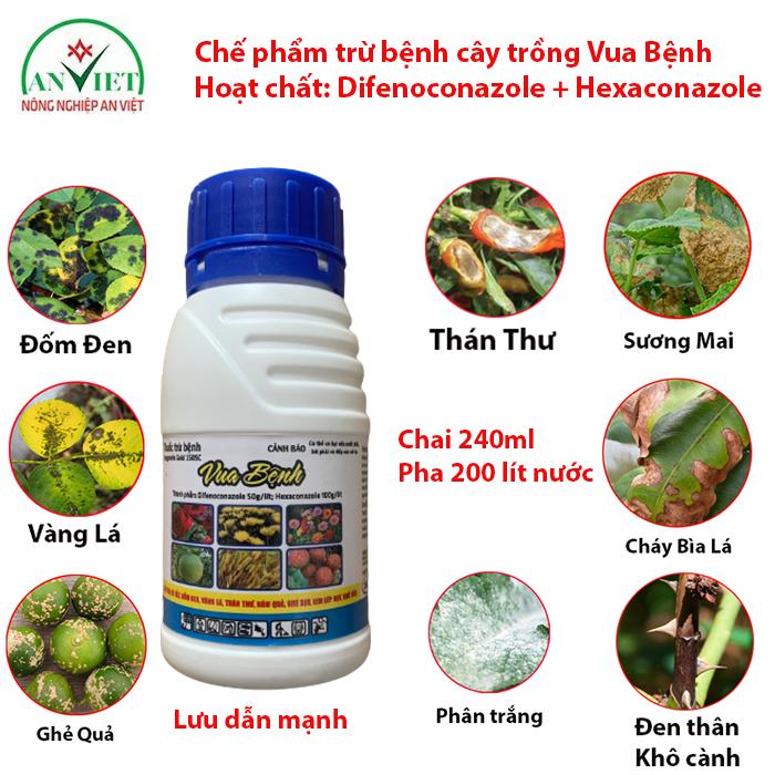 Chế phẩm trừ bệnh vàng lá, đốm đen, thán thư, đen thân khô cành, phấn trắng, sương mai, ghẻ quả, cháy lá Vua Benh 240ml