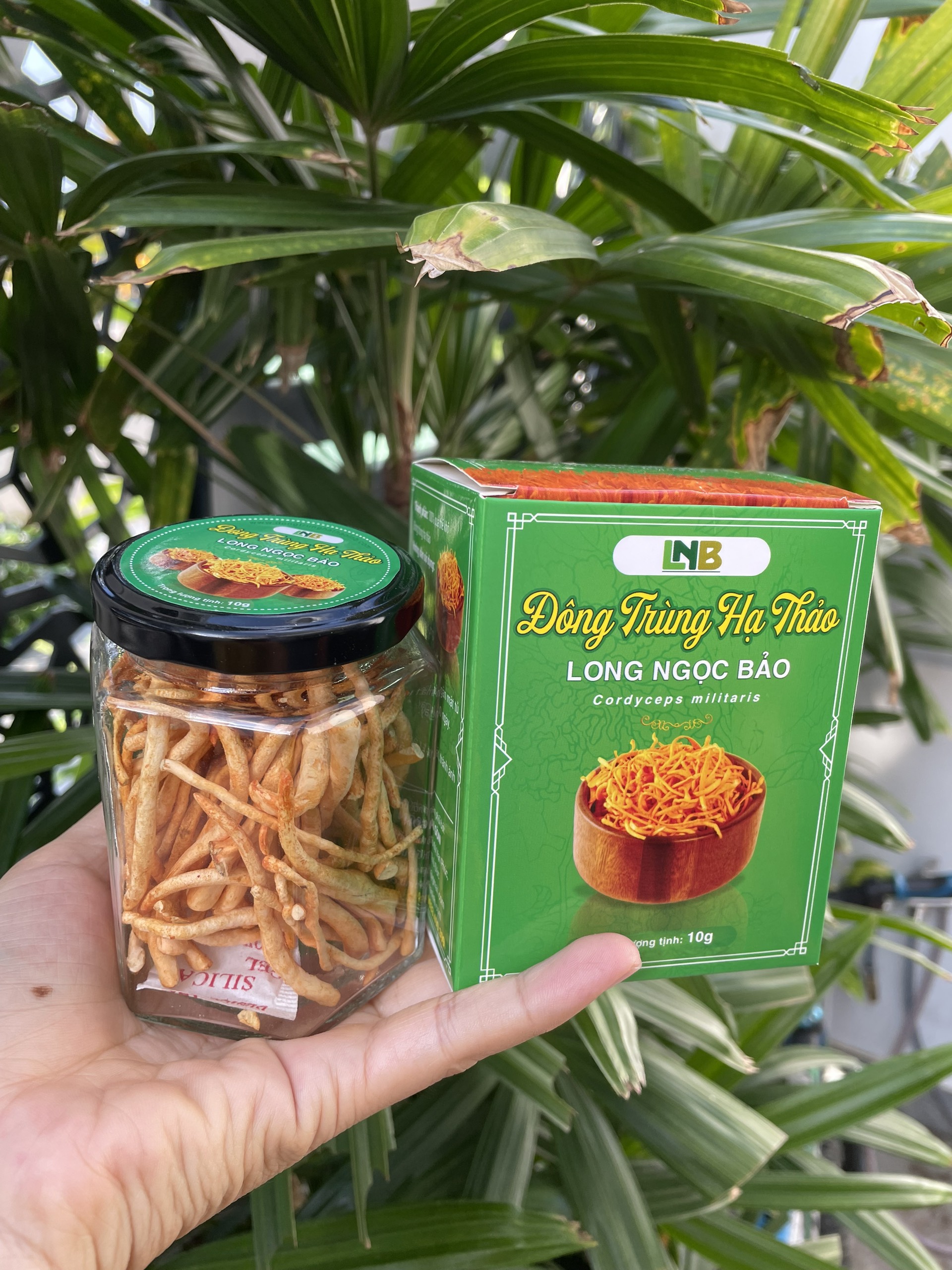 Combo Đông Trùng Hạ Thảo Long Ngọc Bảo