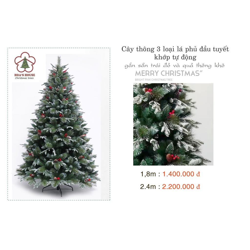 Cây thông noel phủ tuyết 2,1m gắn trái đỏ và quả thông khô PE
