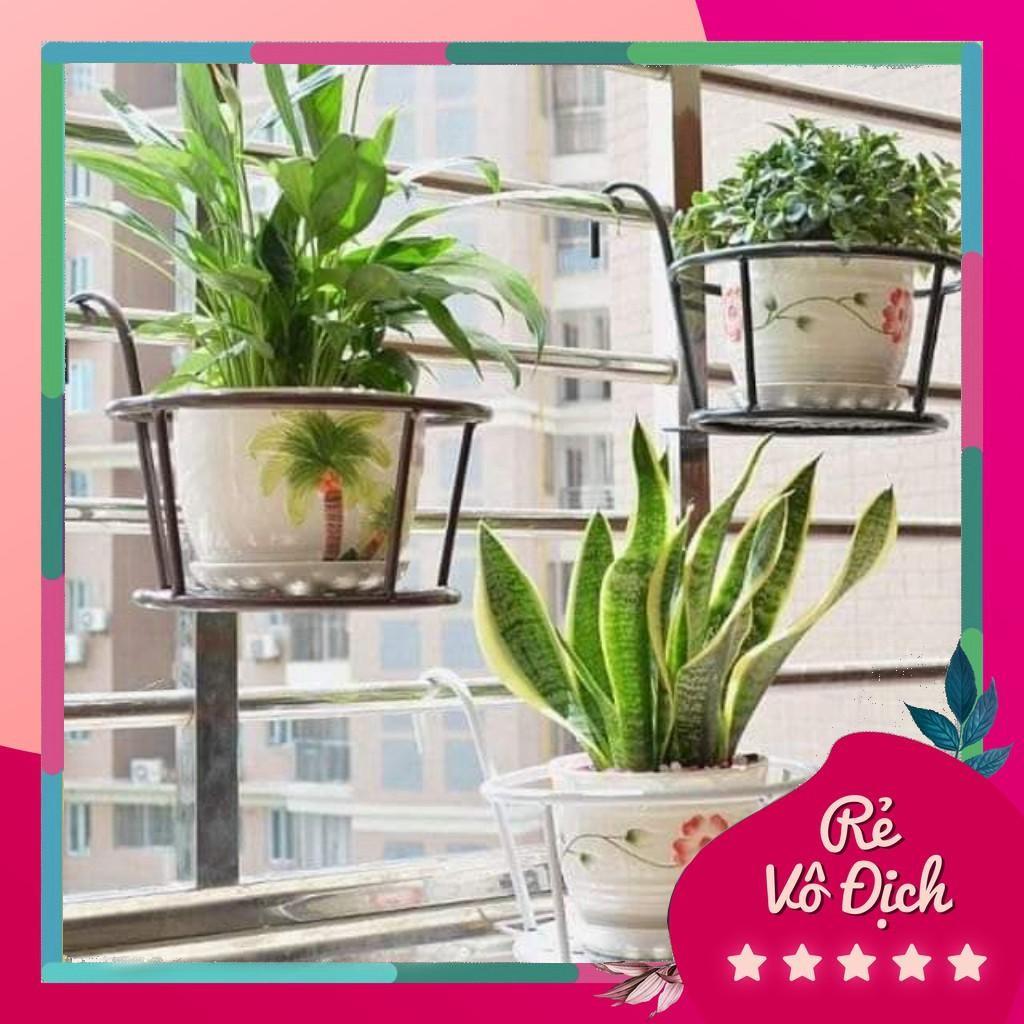 Combo 5 giỏ treo chậu hoa cây cảnh ban công