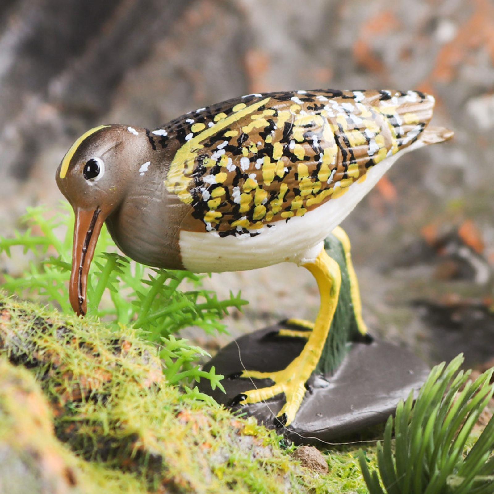 Durable Bird Figurine Ornament Fine Workmanship Bird Statue for Bookshelf Desktop