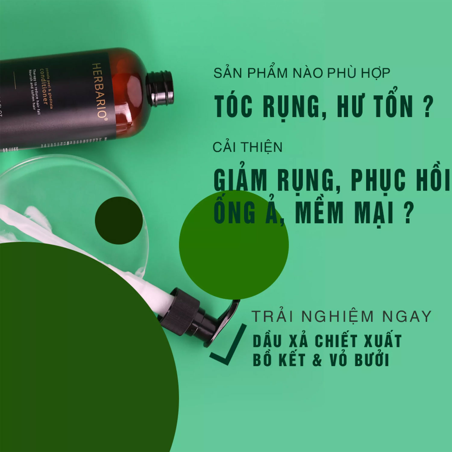 Bộ Dầu gội và Dầu xả Vỏ Bưởi & Bồ kết Herbario