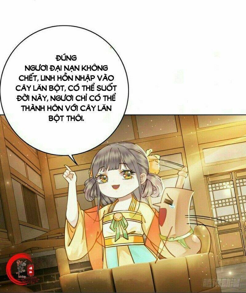 gay rồi! cái đó thành tinh rồi chapter 50 29