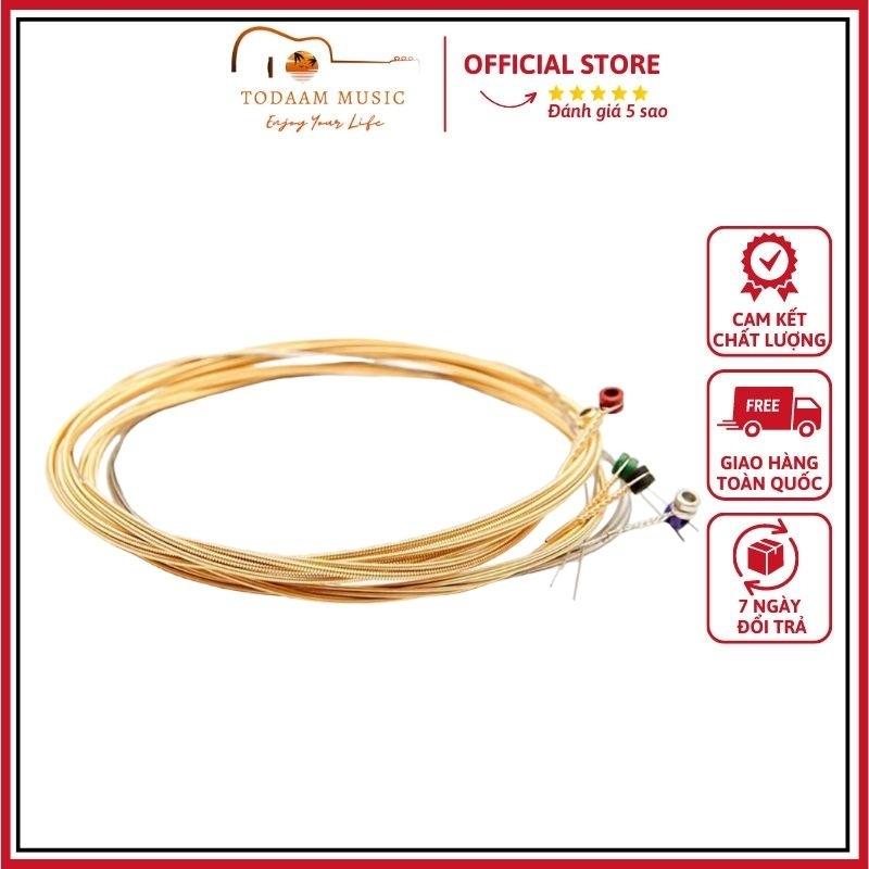 Dây đàn guitar acoustic D'Addario EXP15 Coated Phosphor Bronze thích hợp sinh viên, du ca đường phố