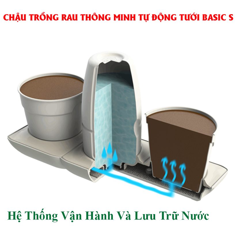 BỘ CHẬU TRỒNG RAU THÔNG MINH TỰ ĐỘNG TƯỚI trong vòng 2 tháng BASIC S, sử dụng 10 năm