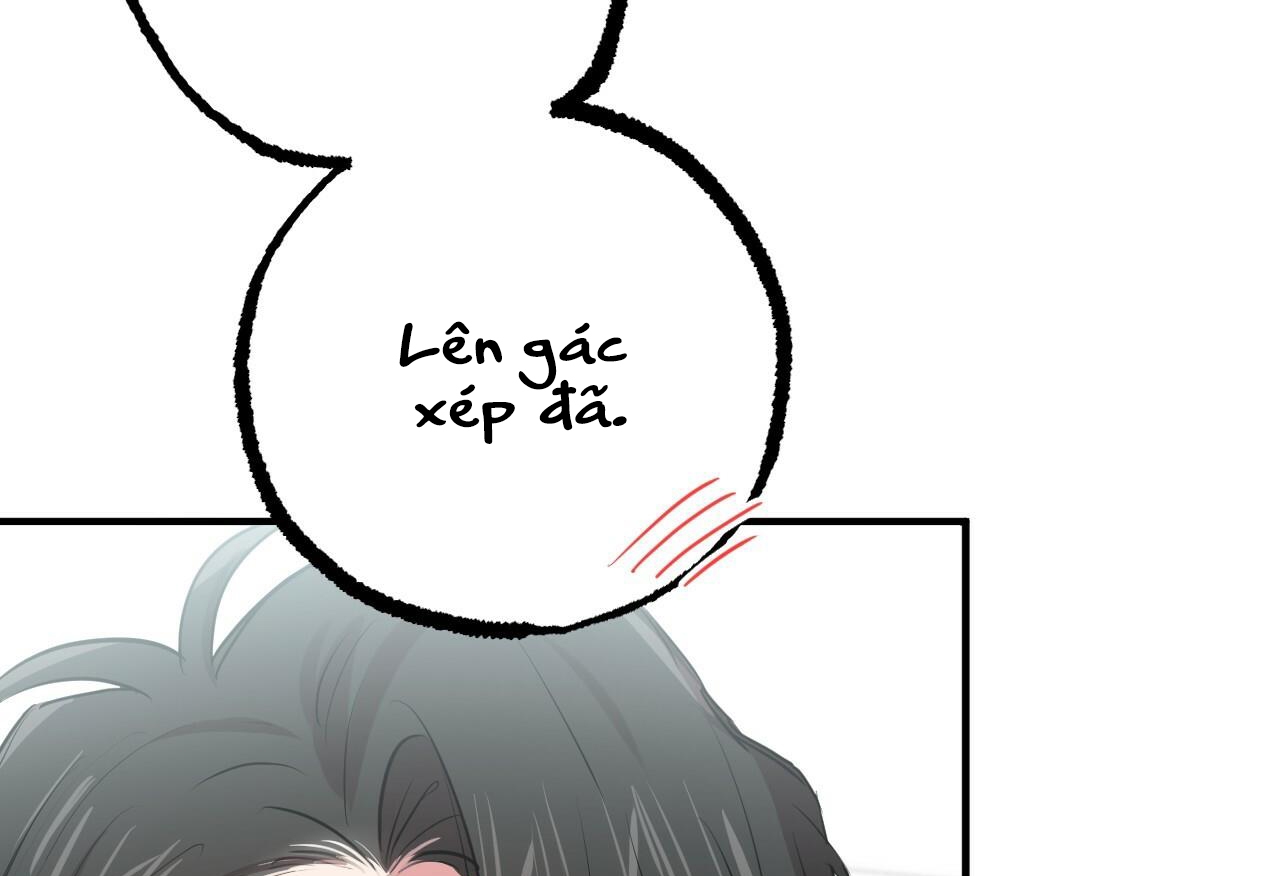 đàn thỏ của habibi chapter 28 209