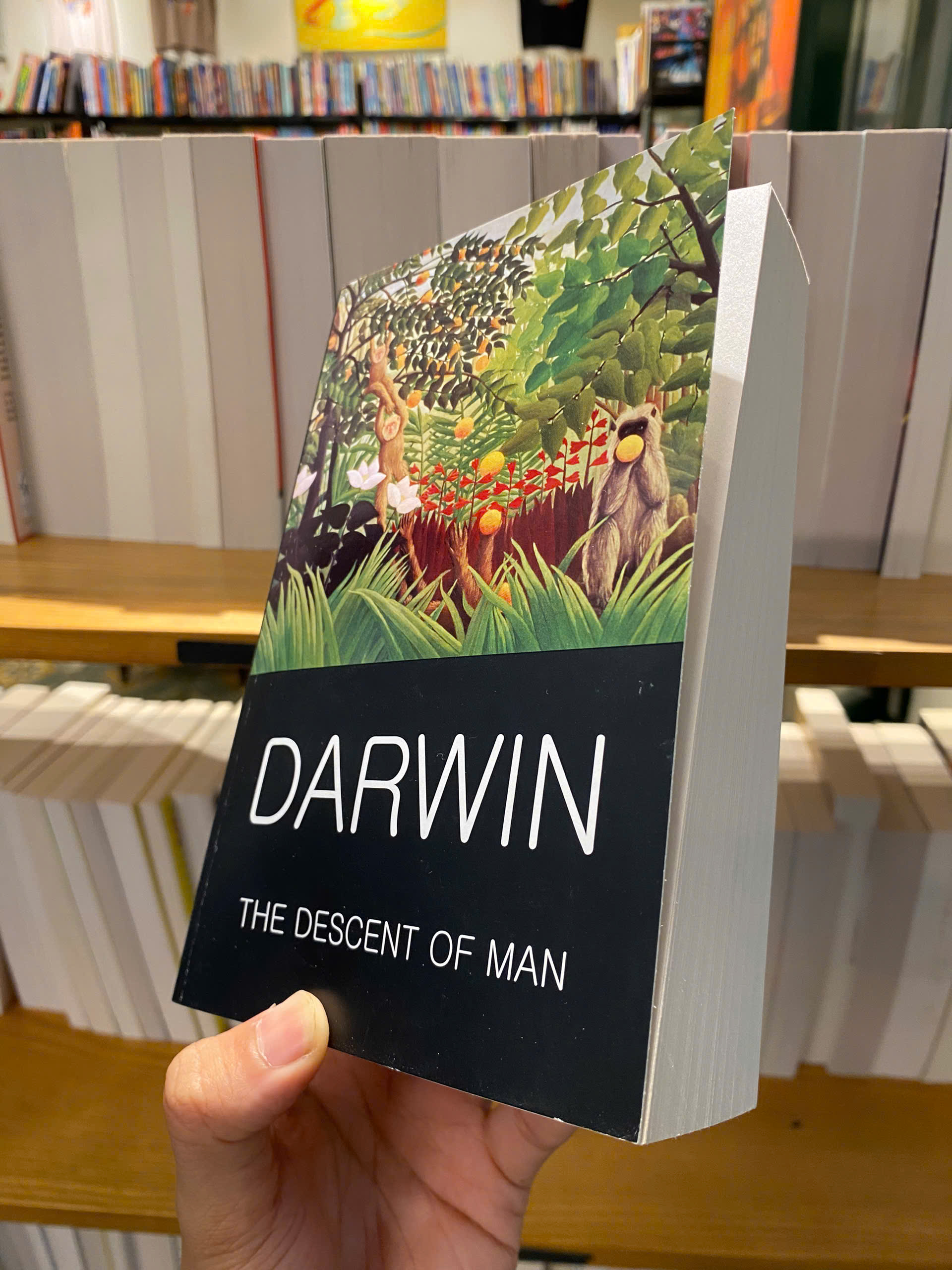 Sách - The Descent Of Man by Charles Darwin - Science/Nonfiction book in English - Ngoại Văn