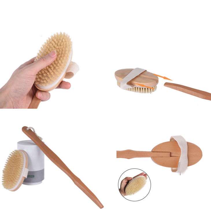 Hình ảnh Sét 3 dụng cụ tắm và massage body (1 cây chà lưng lông heo, 1 bàn chải massage nhỏ, 1 dụng cụ massage mềm) XM20
