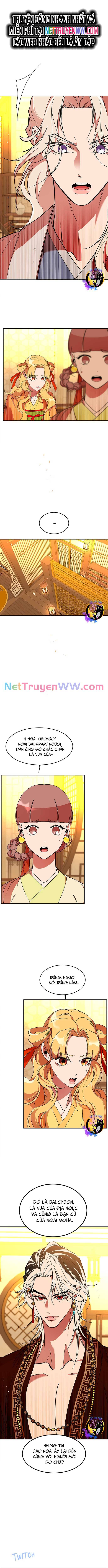 chiến lược săn hổ của nữ thần chapter 62 1