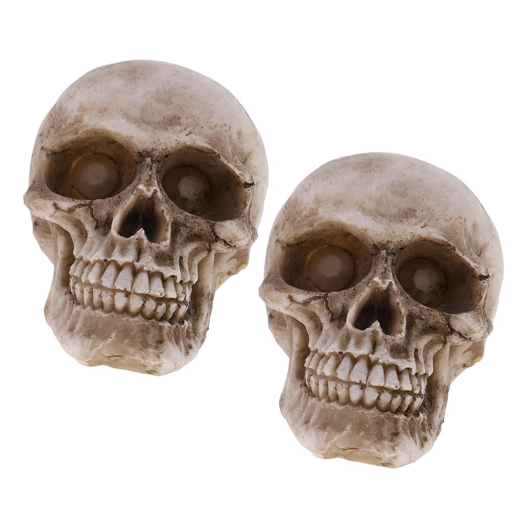 Mô Hình Nhựa Sọ Người Size Nhỏ Halloween Đầu Lâu In Hình Hoa Lá Cho Trẻ Em Quà Tặng