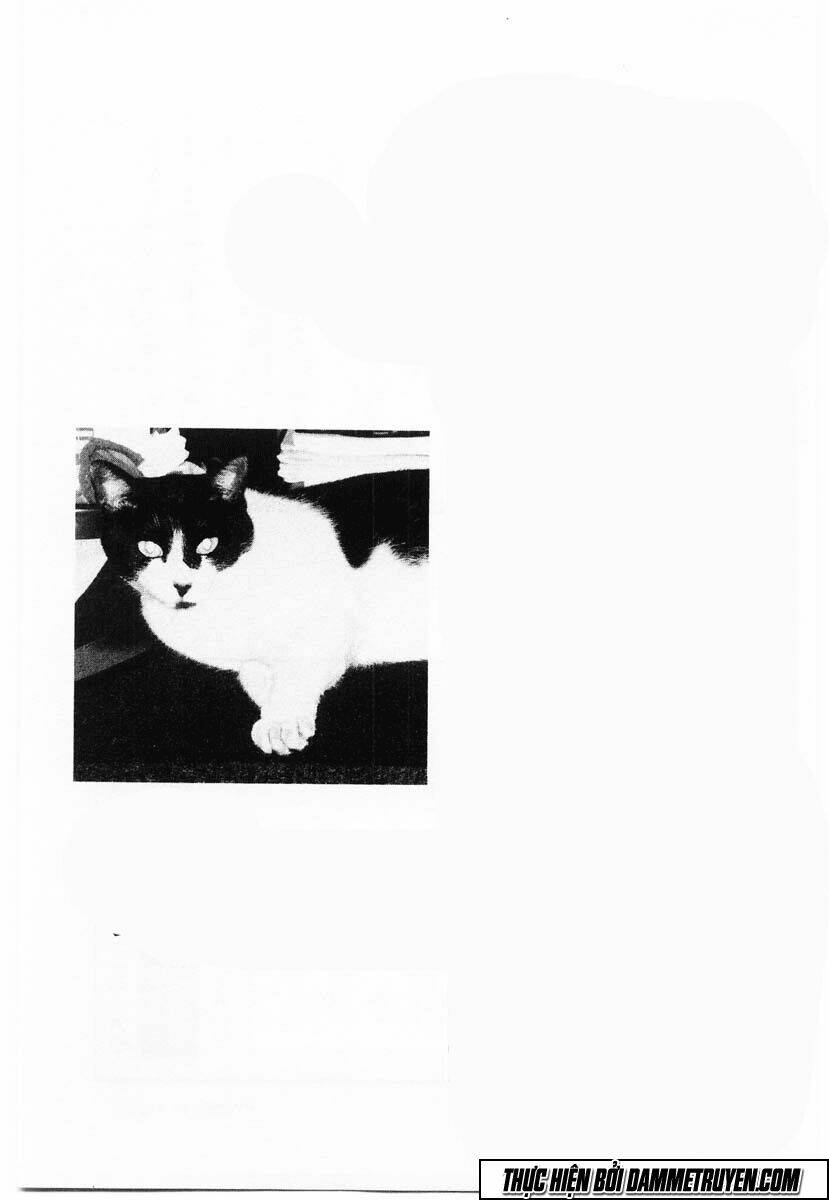 shin kotaro makaritoru! juudouhen chapter 52 21