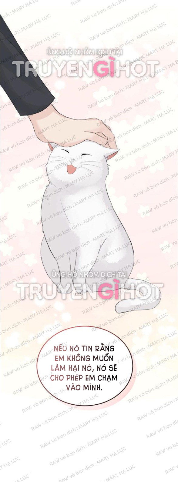 cuộc hôn nhân hoàn hảo chapter 40.1 29