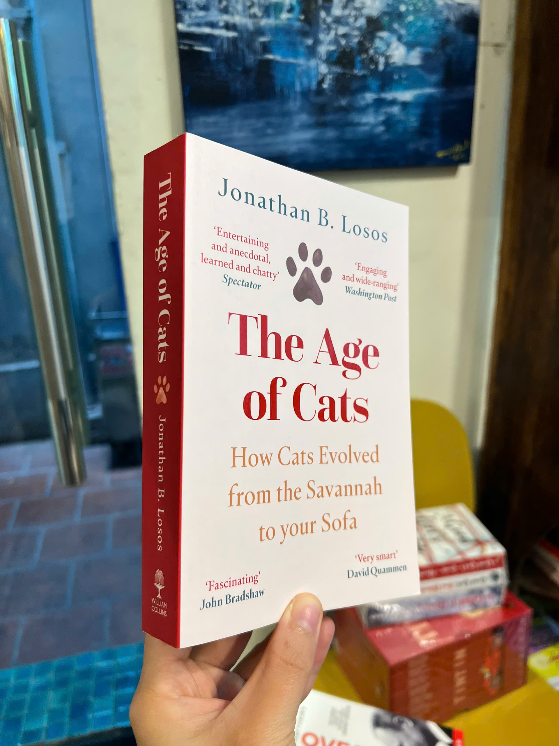 Sách - The Age of Cats: How Cats Evolved From the Savannah to Your Sofa | Nonfiction / Ngoại văn