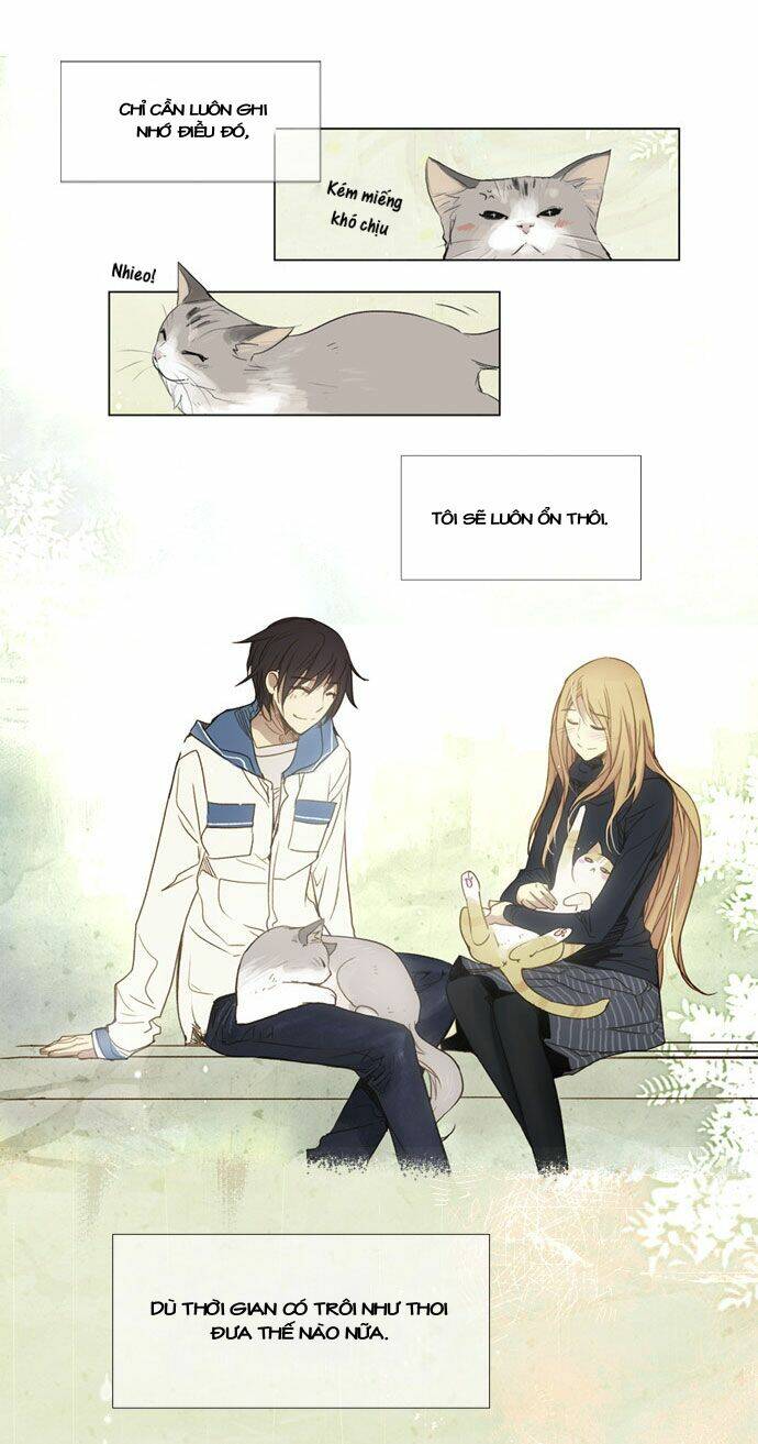 mười chín, hai mươi mốt chapter 21 22