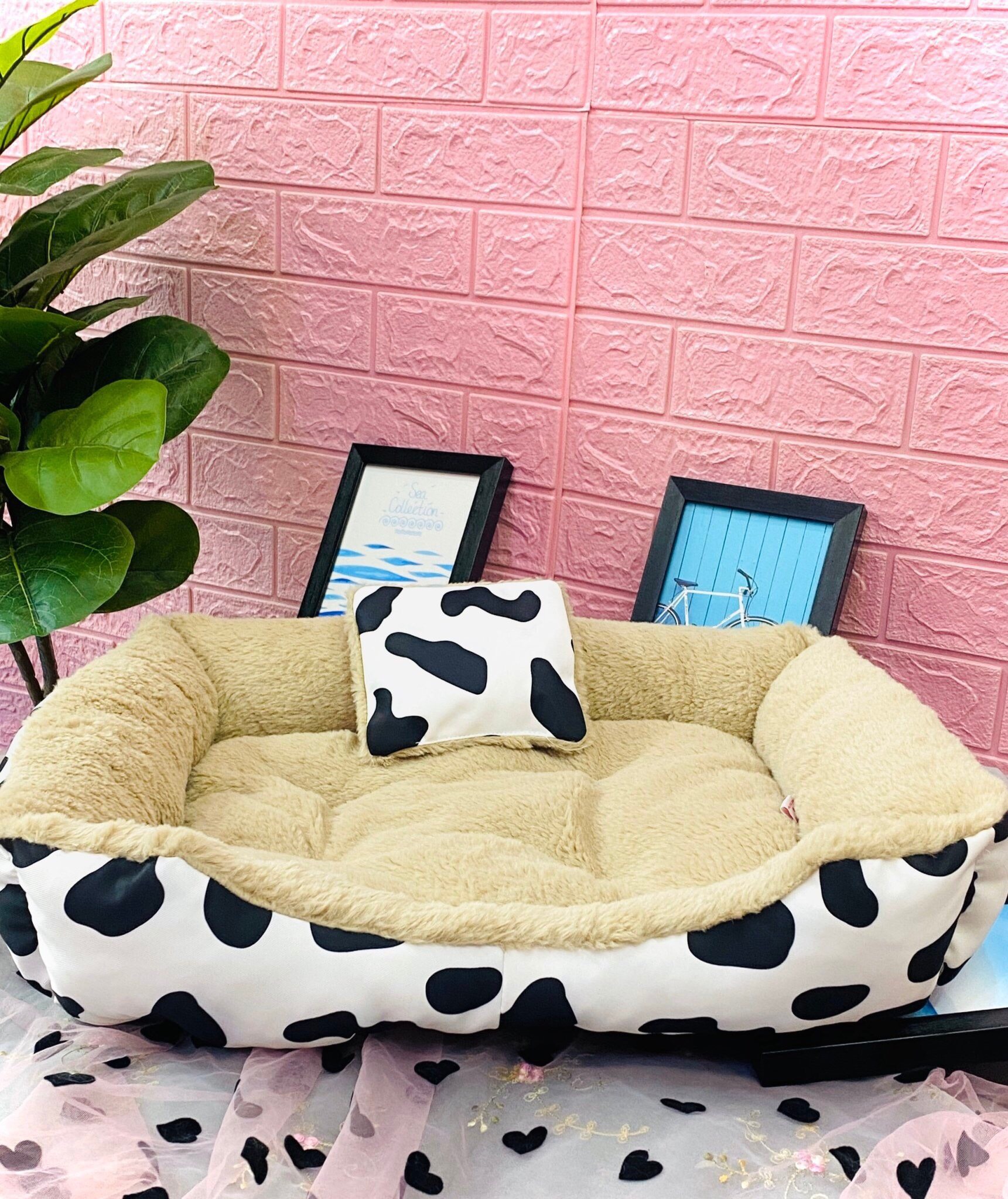 NỆM VUÔNG BÒ SỮA + Tặng kèm 1 gối