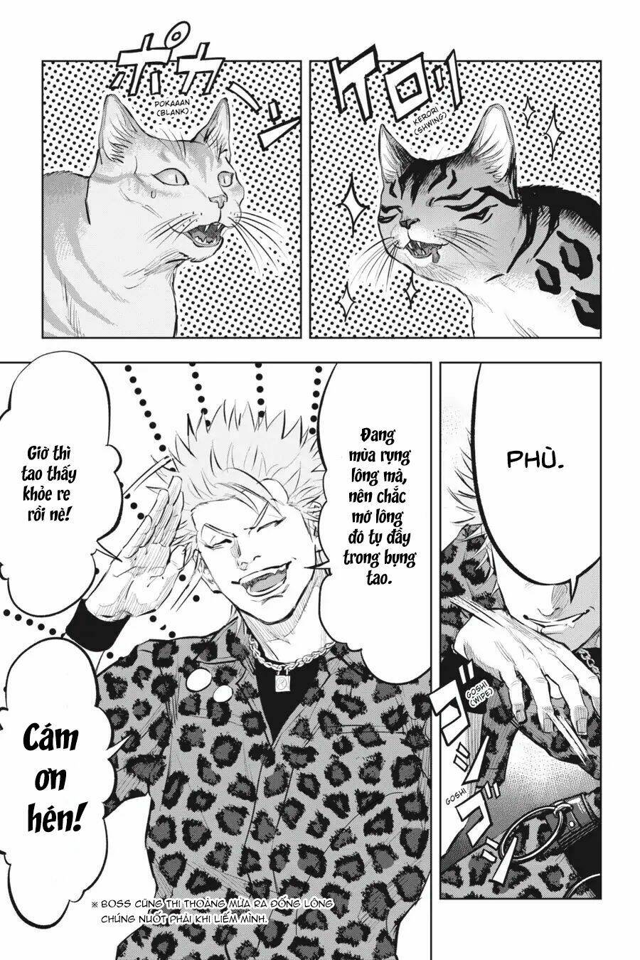 nyankees chapter 13 18