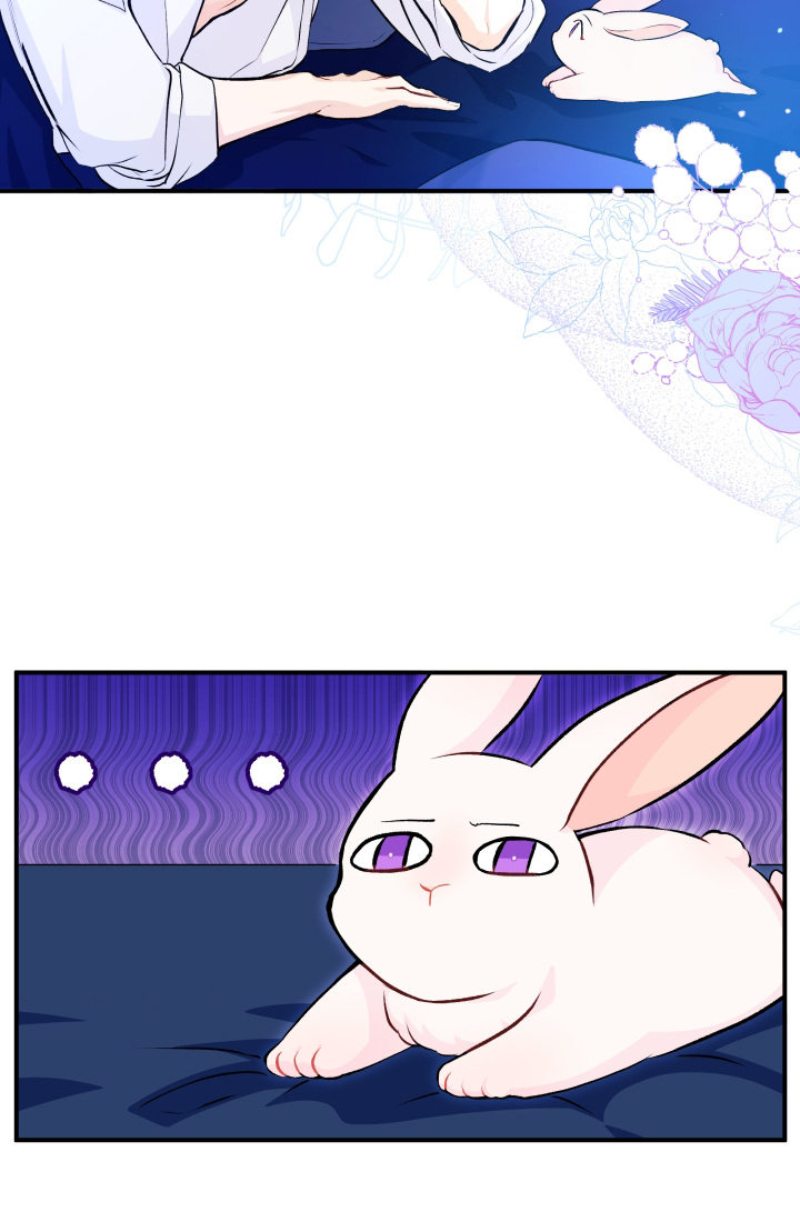 mối liên kết giữa báo đen và bé thỏ chapter 3 18
