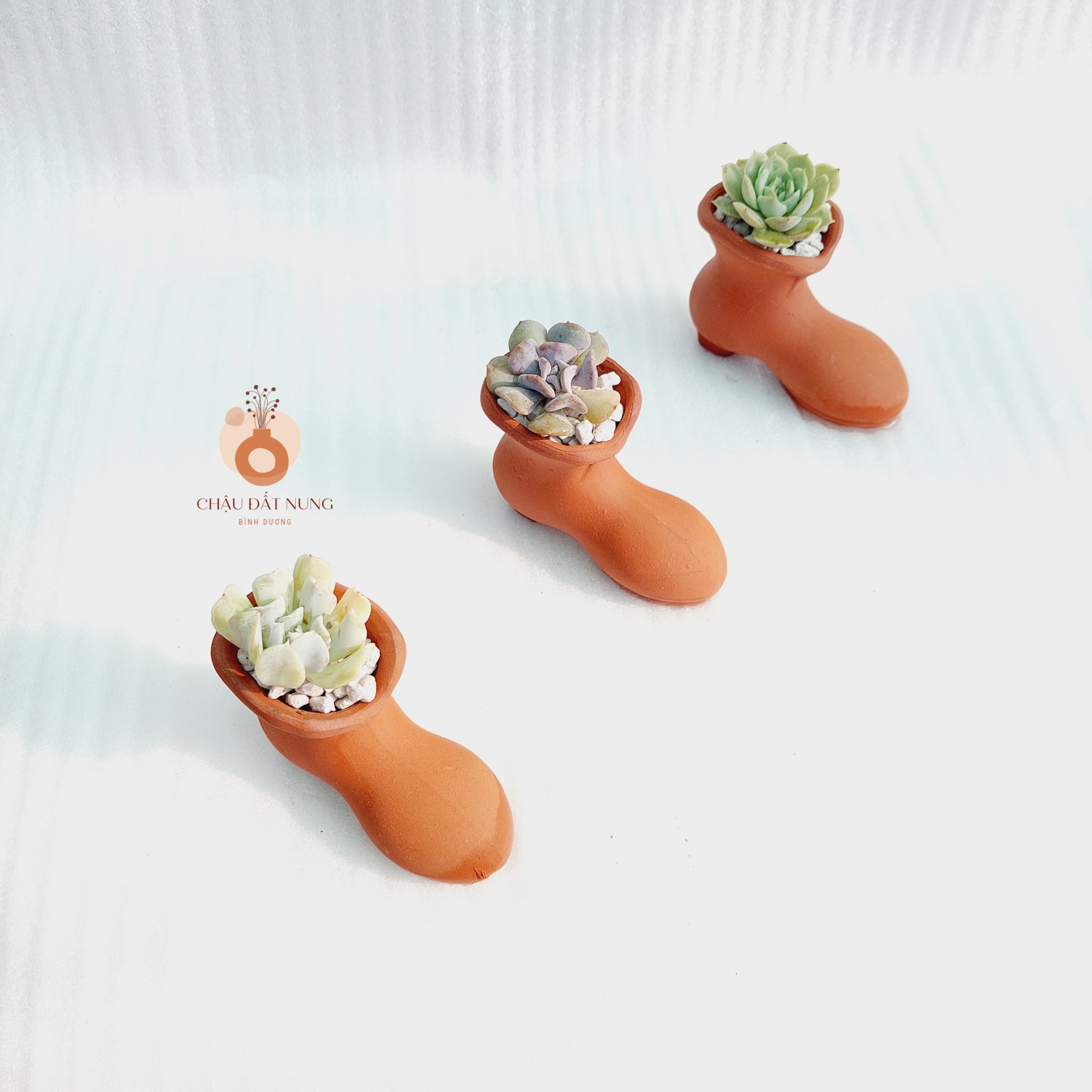 Chậu đất nung Bình Dương - Chiếc hài lọ lem, miệng chậu 4.5cm, chiều cao 7cm