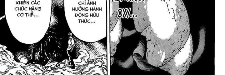 thánh tỏi sành ăn chapter 249 25