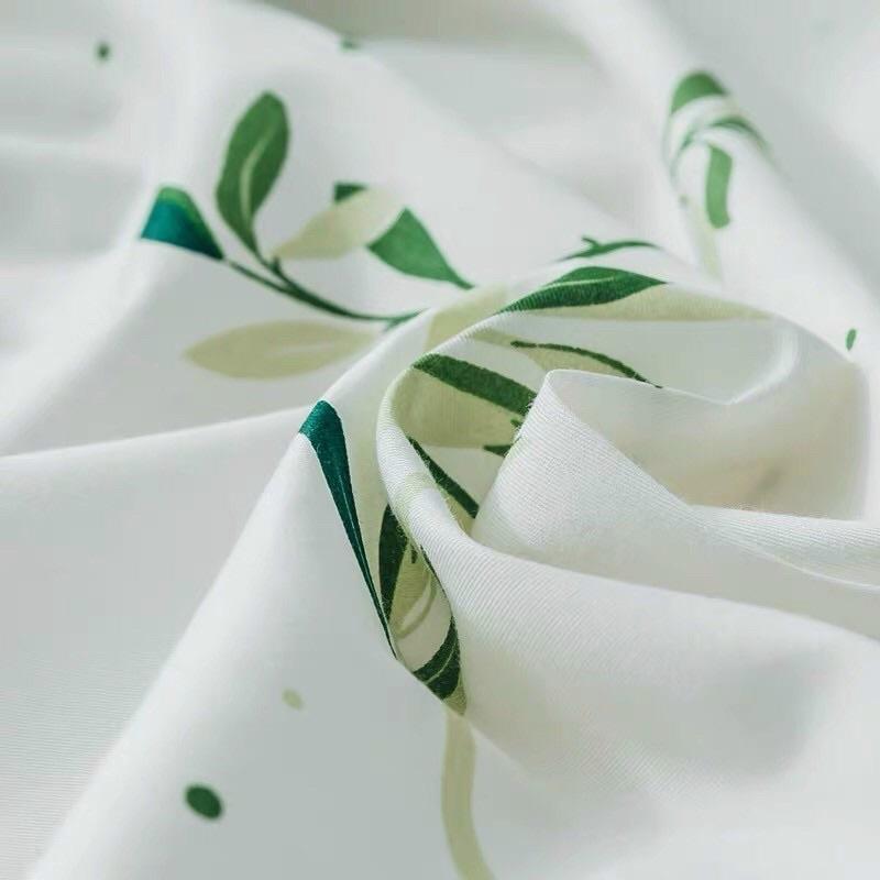 Set Cotton Living 100% Hàng Nhập Khẩu Cao Cấp 4 Món Lá Me Trắng