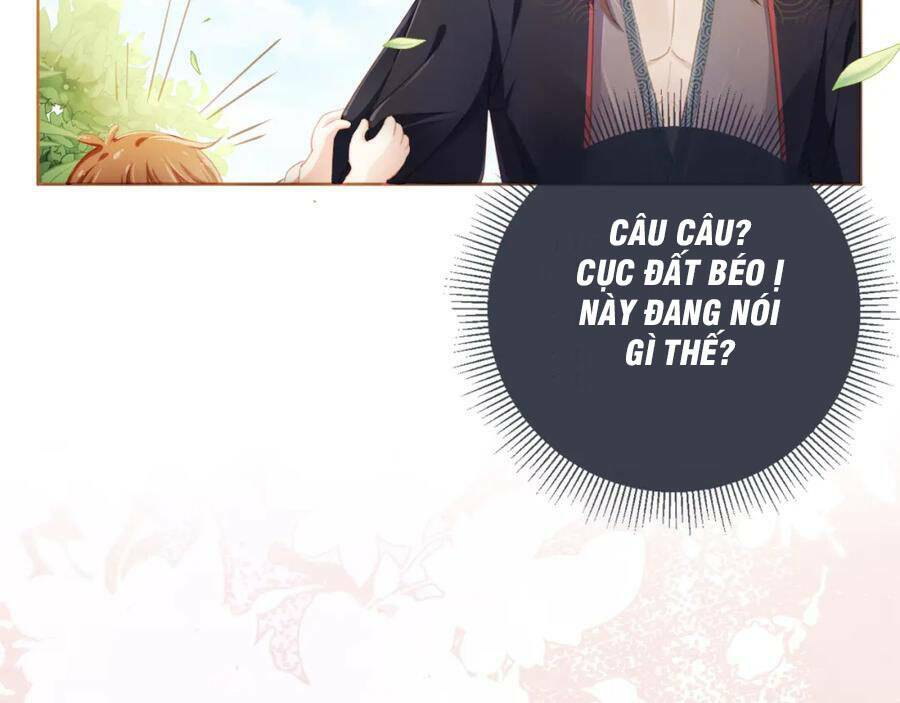 nhặt được bảo bối manh manh chapter 1 107