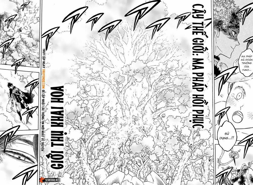 black clover - pháp sư không phép thuật chapter 239 5