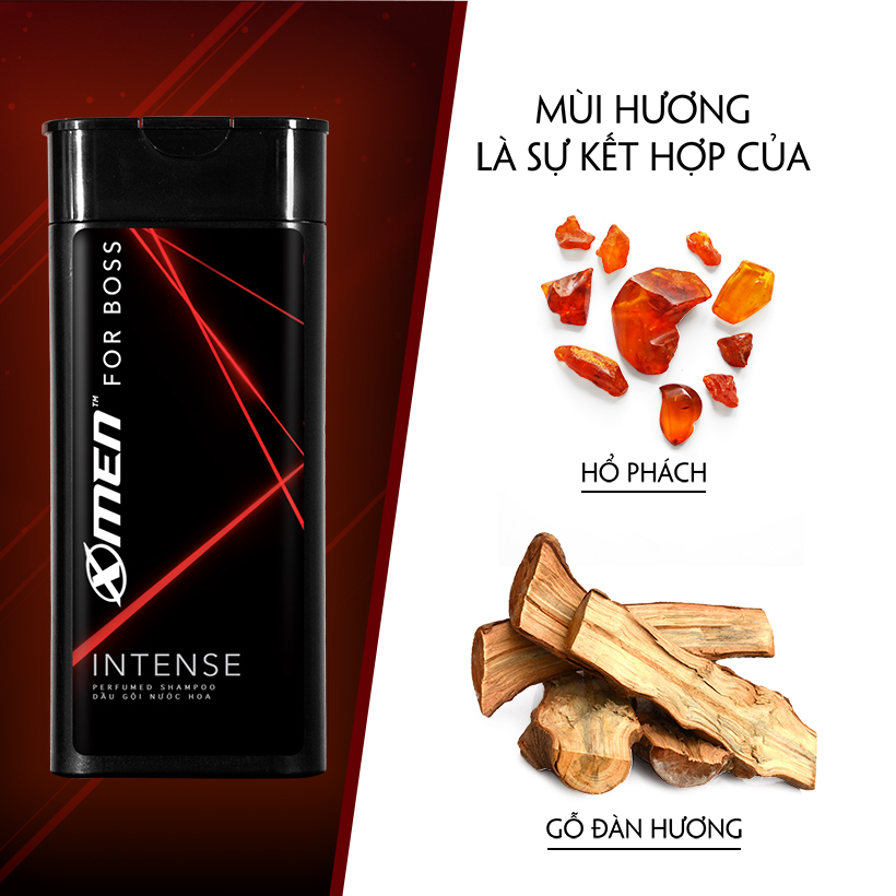 Dầu gội nước hoa X-Men for Boss Intense 380g
