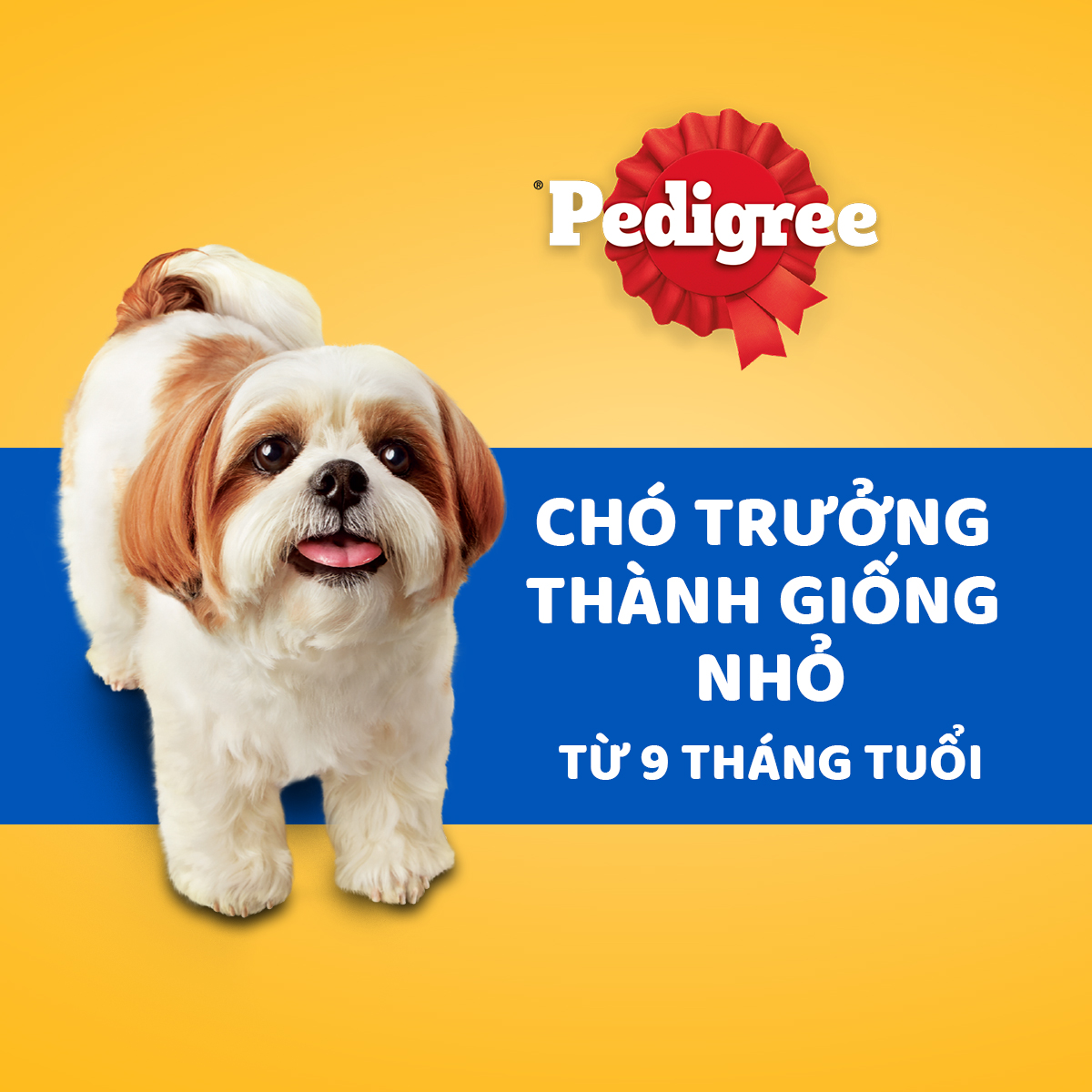 Thức Ăn Hạt Cho Chó Giống Nhỏ Pedigree Adult Mini 9+ months Vị Bò, Cừu, Rau Củ 1.3kg/Túi