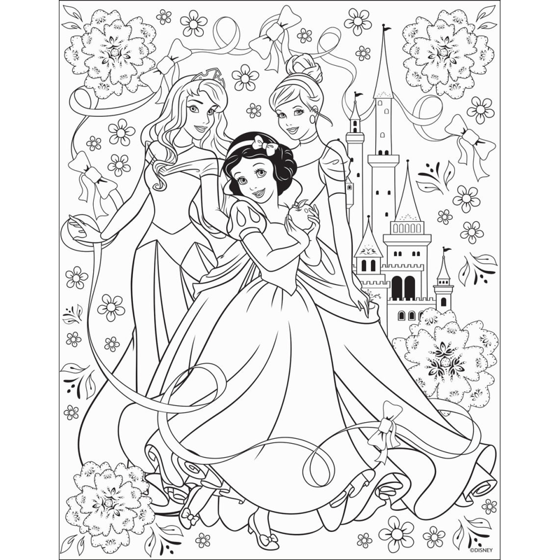 Sách Disney Gallery Wall Art - Princess