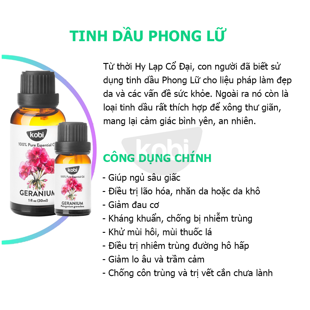 Tinh Dầu Phong Lữ Kobi Giúp Thơm Phòng, Giảm Stress, Chống Viêm Nhiễm (30ml)