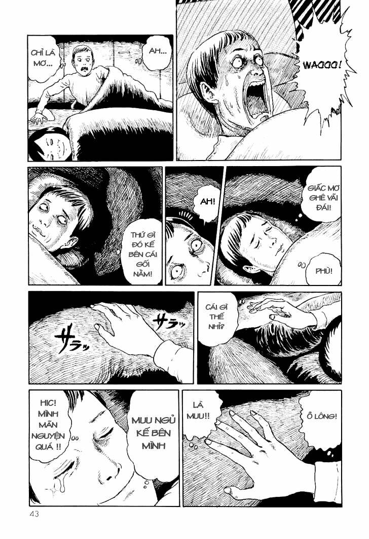 ito junji cat's diary chapter 4 9
