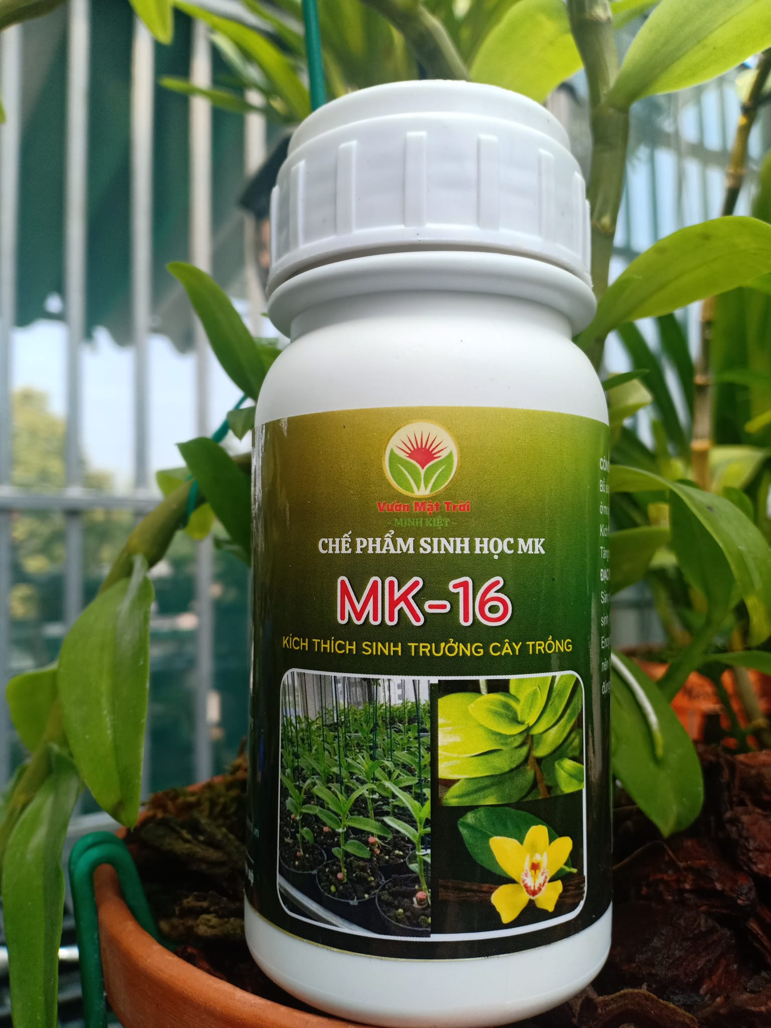 Chế Phẩm Sinh Học MK-16 điều hòa Sinh Trưởng