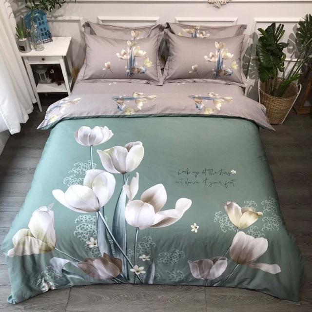 Set Cotton Ogranic Hàng Nhập Khẩu Cao Cấp 4 Món Hoa Khung Tuy Lip