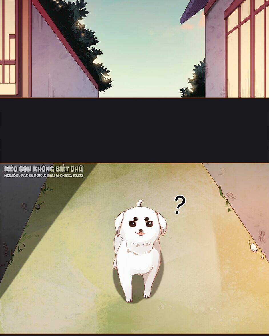 boss khủng bố chiếm đoạt ta chapter 3 6