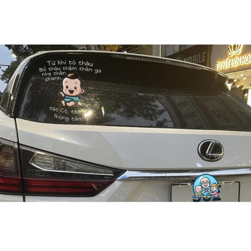 Decal dán xe, tem dán xe, Con lợn chiếu pha - thiết kế đặc biệt phủ sơn UV dán kính hậu ôtô Mày mò Store