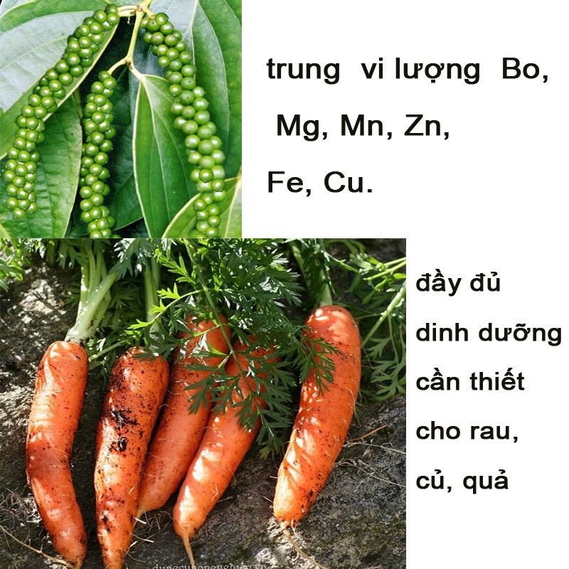 1 Lít - Dịch trùn quế chính hãng DHgold cô đặc, Đầy đủ đa,trung,vi lượng, đầy đủ chất cho cây -76129