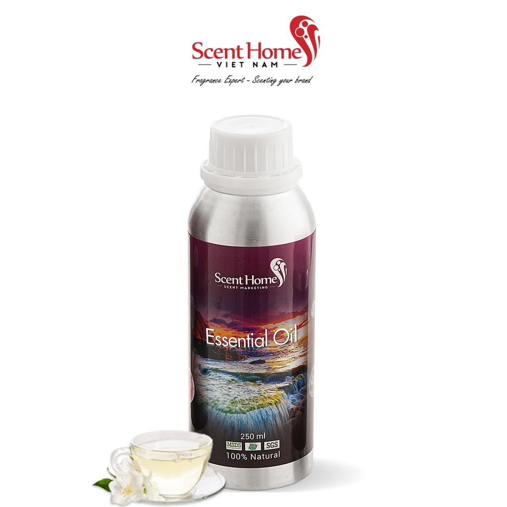 Tinh dầu Scent Homes - mùi hương