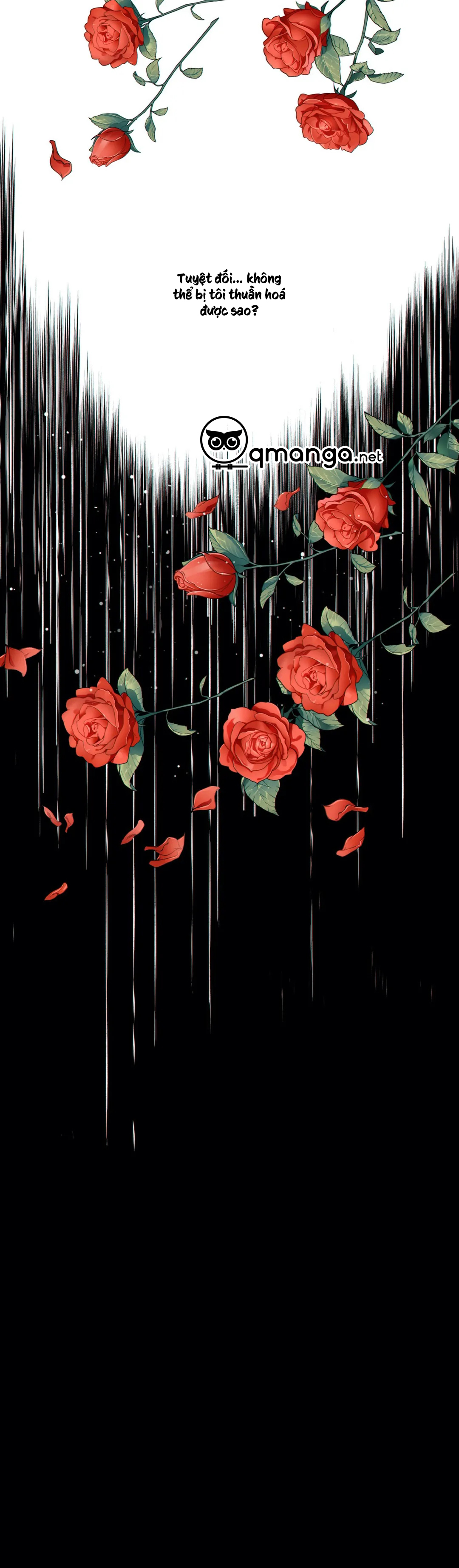 thời gian giữa sói và chó chapter 37 31