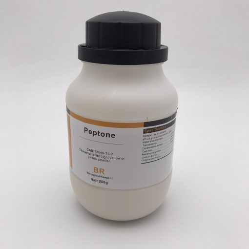 Hóa chất Peptone