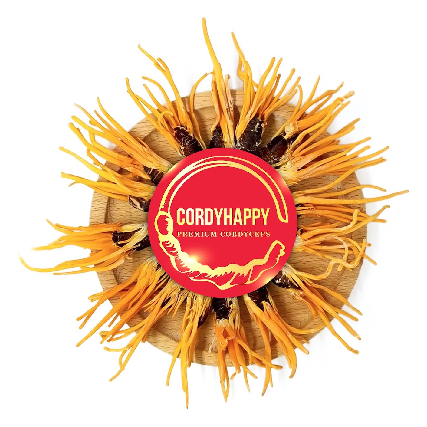 Đông Trùng Hạ Thảo Nguyên Con Ký Chủ Nhộng Tằm  CORDYHAPPY PREMIUM CORDYCEPS - Hộp 10g