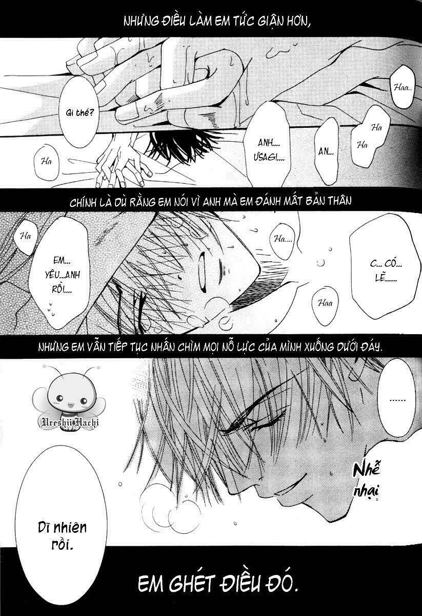 sự lãng mạn thuần khiết chapter 6 55