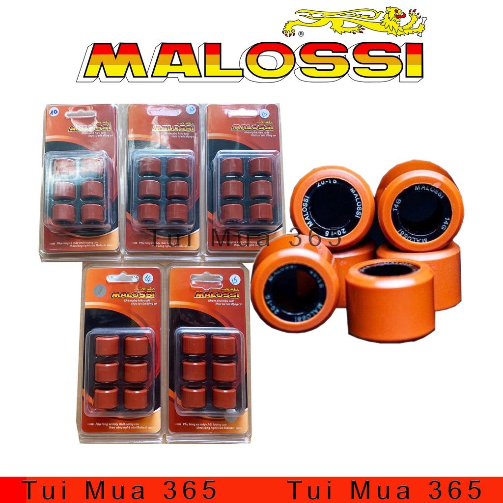 Bi nồi Malossi Độ Honda Vario, AB125, PCX, SHVN, SH Ý, Click 125, SH Mode