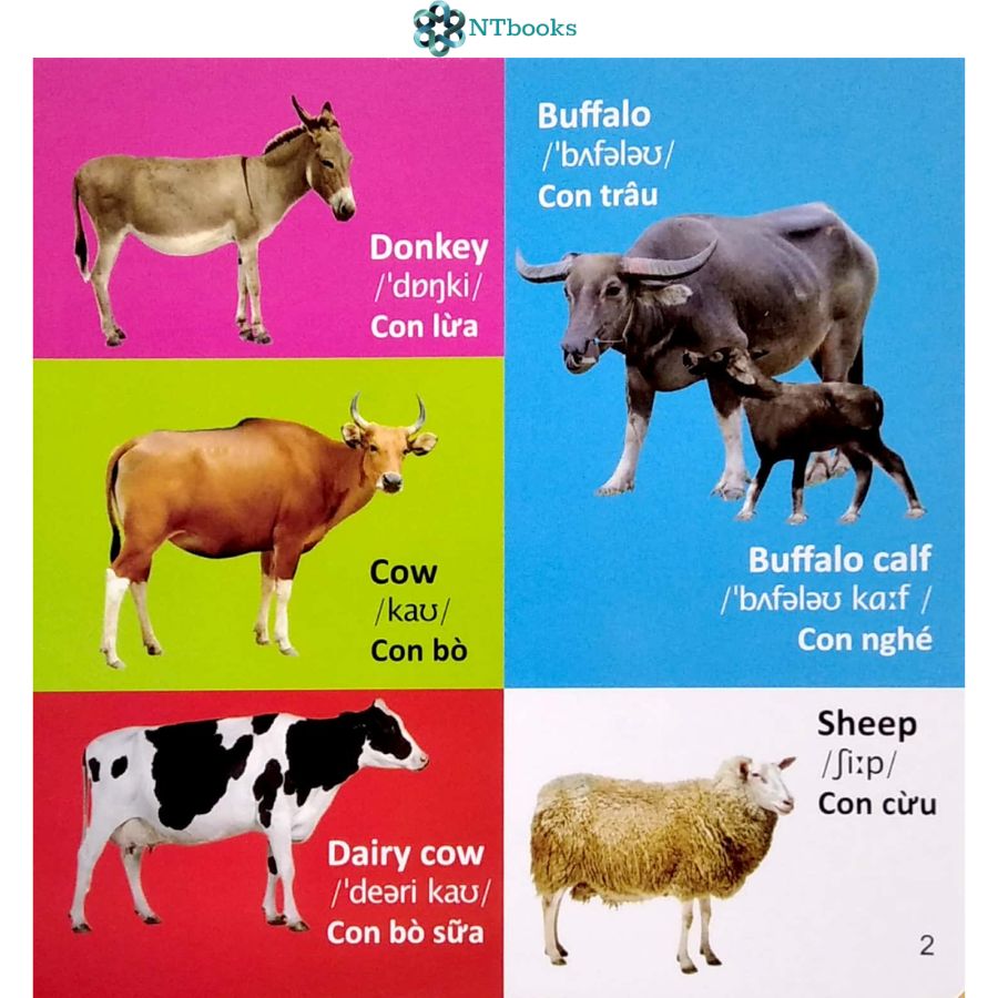 Sách 101 Từ đầu tiên: Động Vật