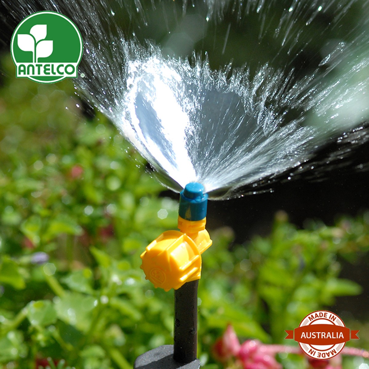 Bộ 10 Béc tưới cây Fan 180 độ Vari 20cm